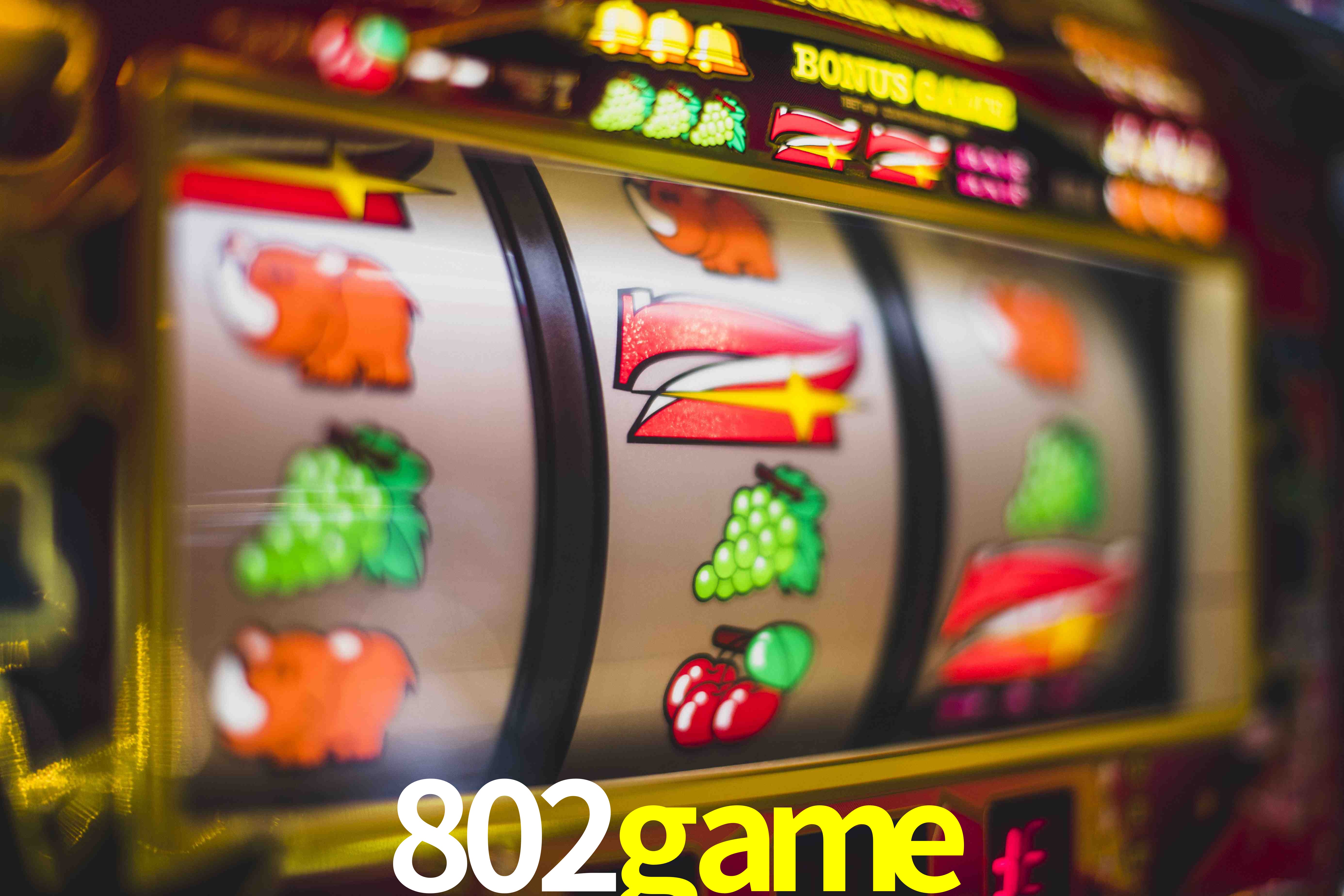 Tennis Betting 802game